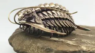 Scientist 3D printed trilobites
