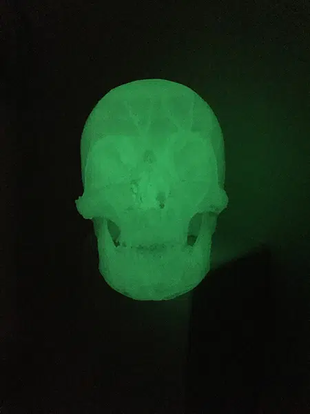 Glow In The Dark Green Skull