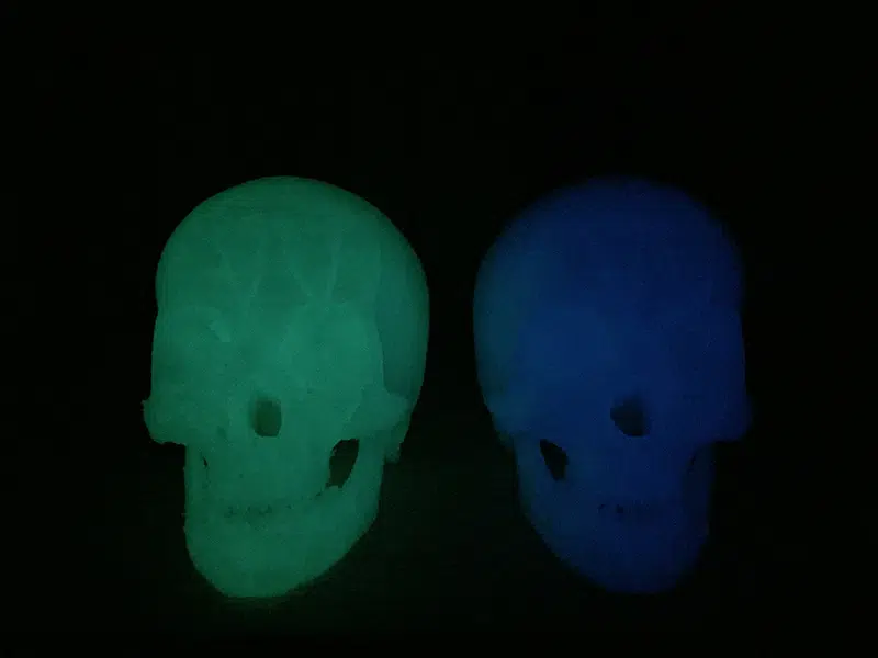 Green And Blue Glow In The Dark Skulls